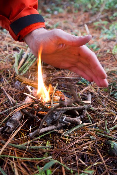 Mar 06, 2021 · here are three animals that are perfect for beginners: How To Start A Fire In The Rain - Seattle Backpackers Magazine
