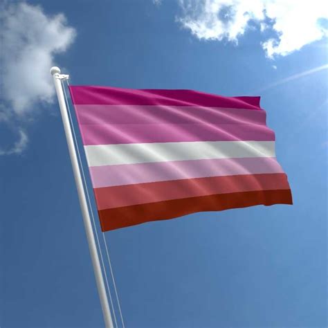 Lista 101 Imagen De Fondo Bandera Heterosexual Que Apoya A La Comunidad Lgbt Mirada Tensa