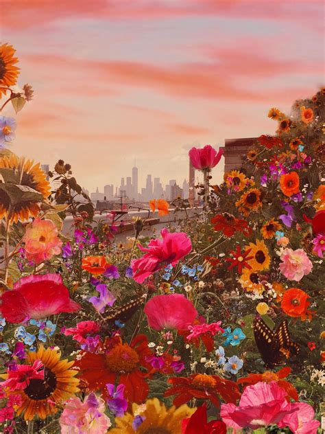 A Field Full Of Colorful Flowers With A City In The Background