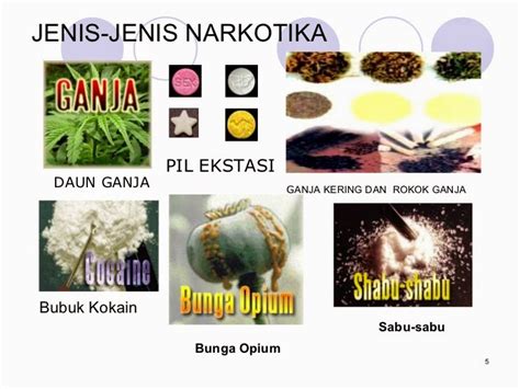 Pengguna narkoba jenis ini memiliki halusinasi yang kuat pada saat melihat suatu hal/benda yang sebenarnya tidak ada / tidak nyata. Bahaya Narkoba dan Rokok