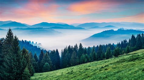 Summer Sunrise In Carpathian Mountains Near Rika Village Location