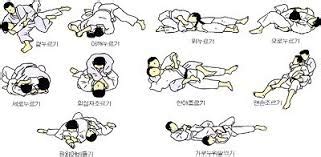 유도 tv왕기춘은 업어치기를 어떻게 들어갈까? 유도 기술 : 굳히기 - 꺾기 #1. 겨드랑이대팔꺾기 (Ude-hishigi-waki ...
