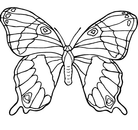Butterflies coloring pages for kids. Beautiful Butterfly Coloring Pages - Butterflies Coloring Pages ... - Cliparts.co