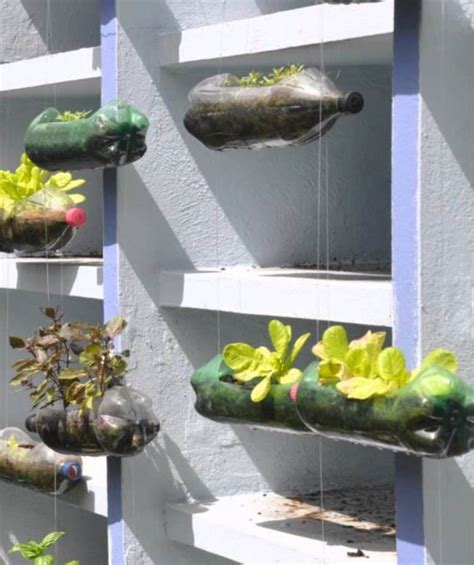 40 Brilliant Plastic Bottle Garden Ideas