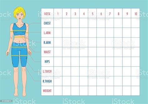 Body Measurement Tracking Chart Layout Blank Weight Loss Chart Stock Illustration - Download ...