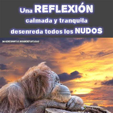 Frases E Imagenes Para Pensar Y Reflexionar Reverasite