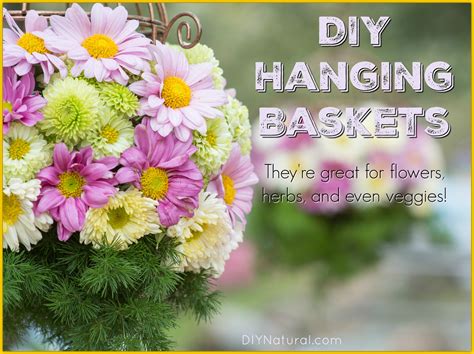 Diy Hanging Baskets Make Your Own And Even Grow Food In Them