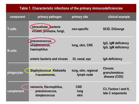 Booster shots for immunocompromised patients: 14 Primary Immunodeficiency Diseases