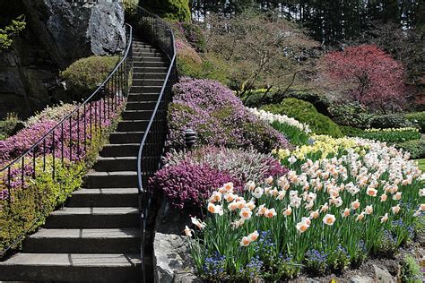 Butchart Gardens reopens with physical distancing, screening protocols ...