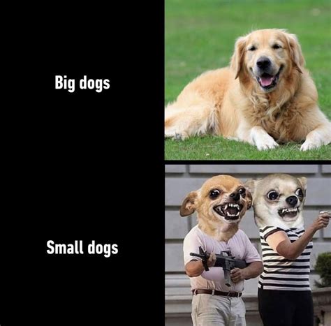 Big Dogs Vs Small Dogs Meme By Schizoidman Memedroid