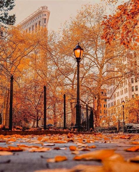 Popular Concept Fall Vibes Wallpaper Artsy Pictures
