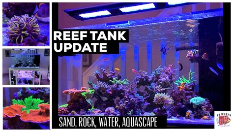 Reef Tank Update Sand Rock And Water Ep5 Youtube