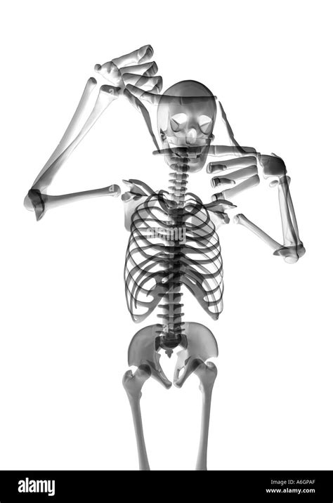 Funny Skeleton High Resolution Stock Photography And Images Alamy