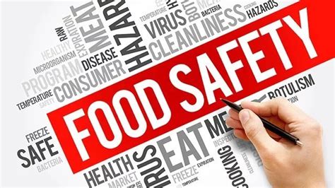 What Is Food Safety And Why Is It Important Hsewatch