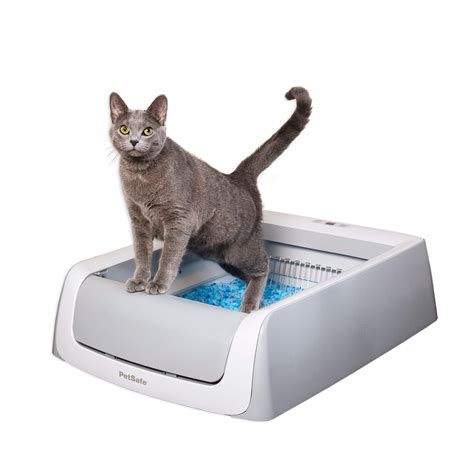 Coolkittycondos Petsafe Scoopfree Automatic Self Cleaning Cat Litter