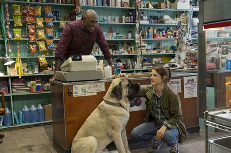 'A Dog's Journey' review: This melodrama about the human-canine bond