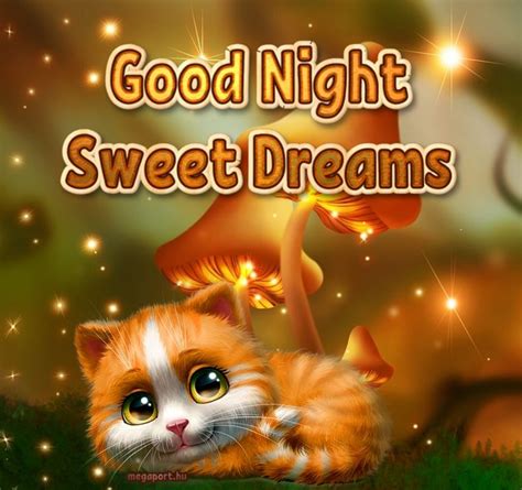 Good Night Sweet Dreams Megaport Media Good Night Sweet Dreams