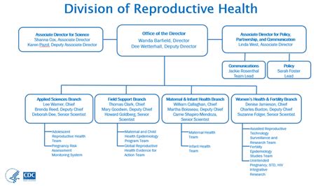 organizational chart about us reproductive health cdc