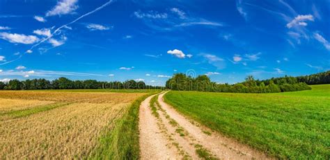 Beautiful Summer Scenery With Country Road And Fields Stock Image