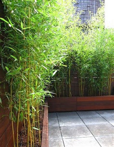 20 Modern Bamboo Gardening Ideas For Backyard Diy Garden Fence