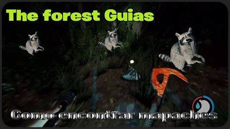 Como Encontrar Mapaches The Forest Guías 6 Youtube