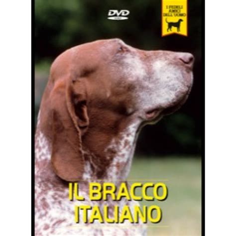 Il Bracco Italiano Dog Performance®