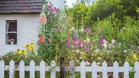 Cottage Garden Plants The Top Flowers And Shrubs To Grow Country In