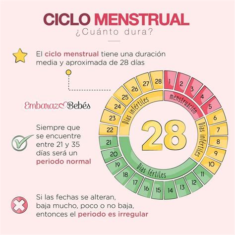 El ciclo menstrual de una mujer tiene una duración media y aproximada