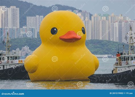 A Giant Rubber Duck Brings Joy Smiles Wherever It Floats June 18 2023