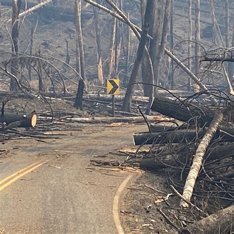 Oregons Santiam State Forest Closed Indefinitely Due To Fires Kval