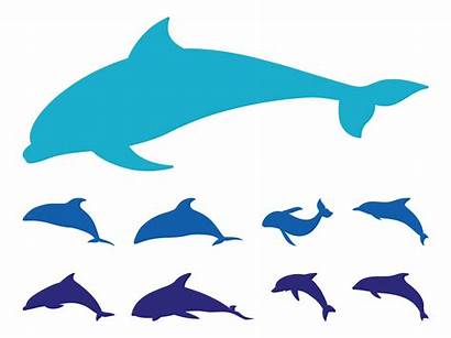 Dolphin Silhouette Dolphins Vector Clip Clipart Swimming