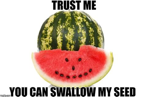 Do You Trust Your Watermelon Imgflip