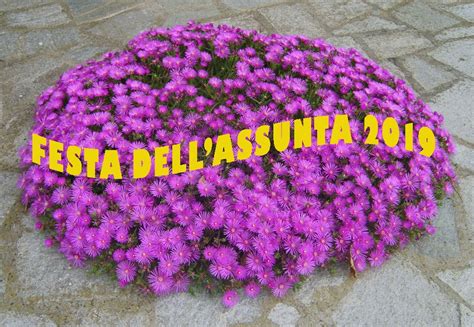 La carriera, come viene tradizionalmente chiamata la corsa, si svolge normalmente due volte l'anno: Festa dell'Assunta | Santuario del Todocco