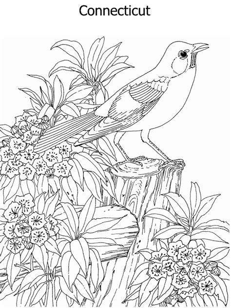 This is a plus product, it is available as part of our plus. State Flower and State Bird coloring page