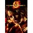 Watch The Hunger Games 2012 Free Online