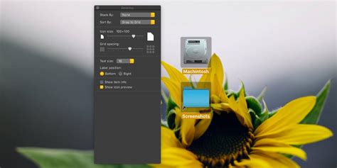 Beautiful app icons are an important part of the user experience on all apple platforms. How to resize desktop icons on macOS