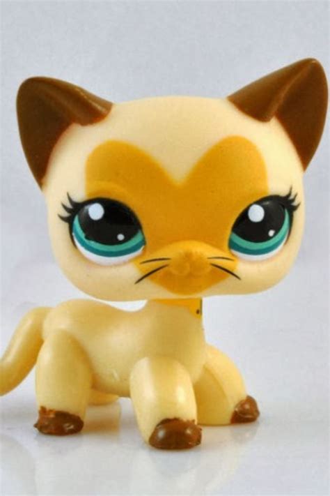 17 Best Images About Lps Short Haired Cats On Pinterest Orange Cats