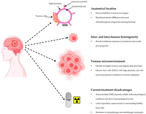 Cancers Free Full Text Diagnostic And Therapeutic Approaches For