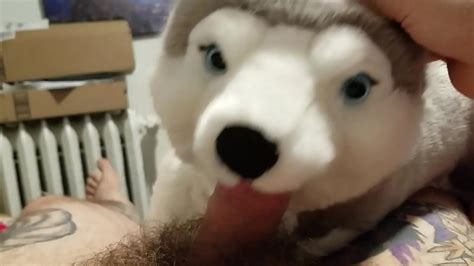 Oral Sex With Stuffed Husky And Rubbing One Out Xnxx
