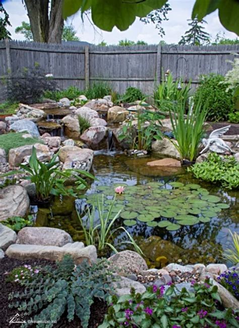 7 Tips For Planting Your Pond Aquascape Inc