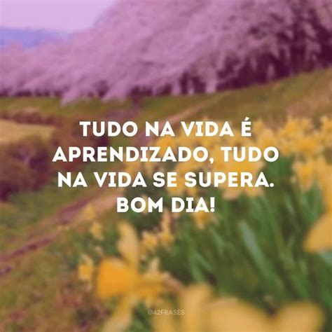 Bom Dia Reflexão E Atitude