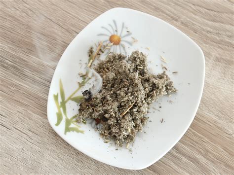 Burn it when you feel you need to. How to Burn Sage: 13 Steps (with Pictures) - wikiHow