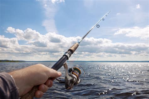Tecnica Di Pesca A Bolentino Consigli Prede E Attrezzatura Ideale