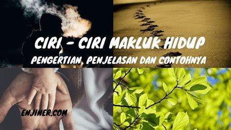 Salah satu cara dengan memabaca soal penyesuaian diri makhluk hidup terhadap lingkungannya lengkap dengan kunci jawabannya. Apakah Tujuan Makhluk Hidup Selalu Beradaptasi Dengan Lingkungan