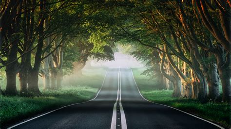 Misty Forest Road 4k Wallpapers Wallpapers Hd