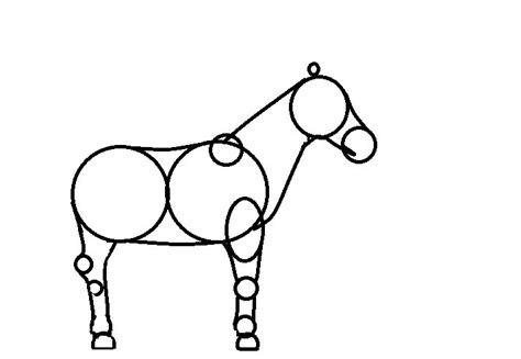 Zo wordt realistisch natekenen makkelijker en leuker! tekenen | Paardengekkenweb.jouwweb.nl