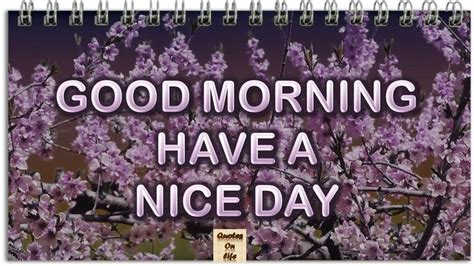Good Morning Wishes Animated Ecard Greetings Whatsapp Video