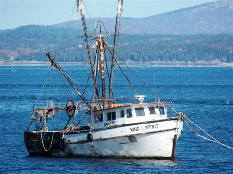 The Fishing Industry Is In Need Of A Massive Overhaul And
