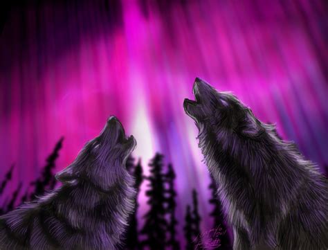 68 Wolf Howling Wallpaper