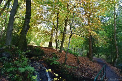 Woodland Path Rivelin Valley Park Sheffield South Yorksh Flickr